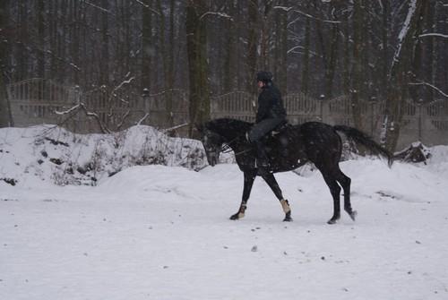 Jazda konna oferta dla Studentów Pony Poznań, wielkopolskie