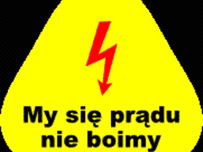 Zdjęcie nr 1 - kliknij, aby powiększyć