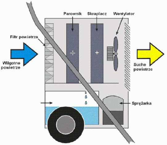 POCHLANIACZ WILGOCI OSUSZACZ POWIETRZA MASTER DH , Poznan, wielkopolskie