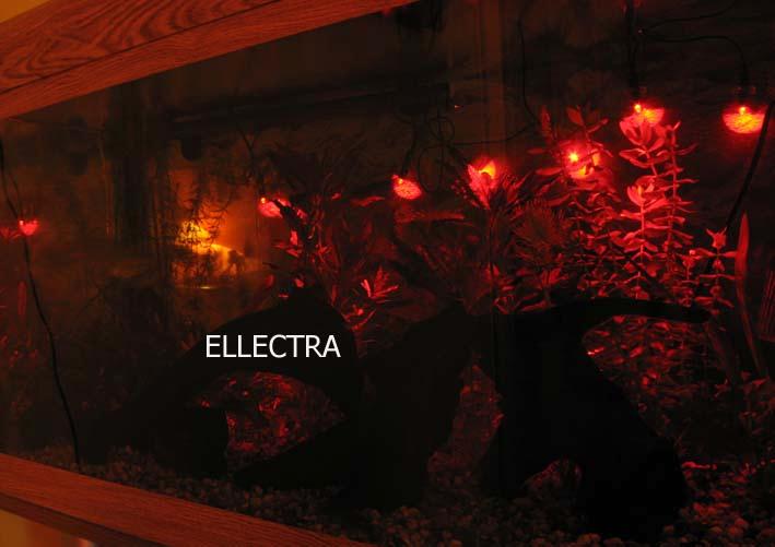 Oświetlenie Akwarium 6LED+przyssawki Czerwony, Krosno, podkarpackie