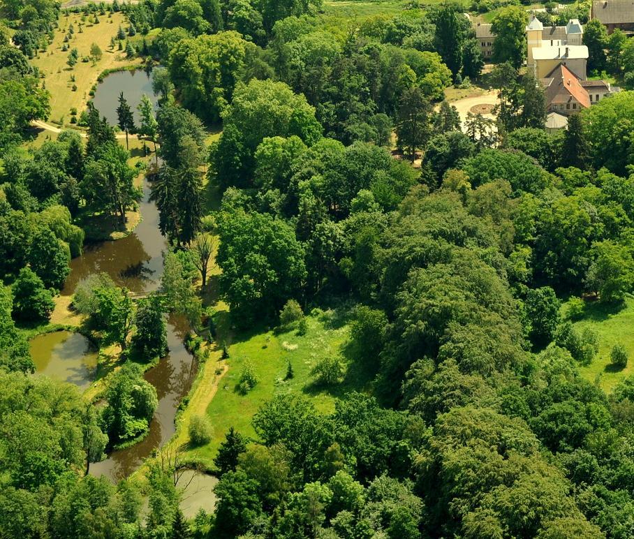 Wesele w Pałacu, wesela w Pałacu, okolice Poznan, Jabłonowo, wielkopolskie