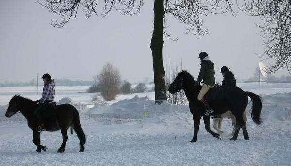 JAZDA KONNA, Toruń pigża, kujawsko-pomorskie