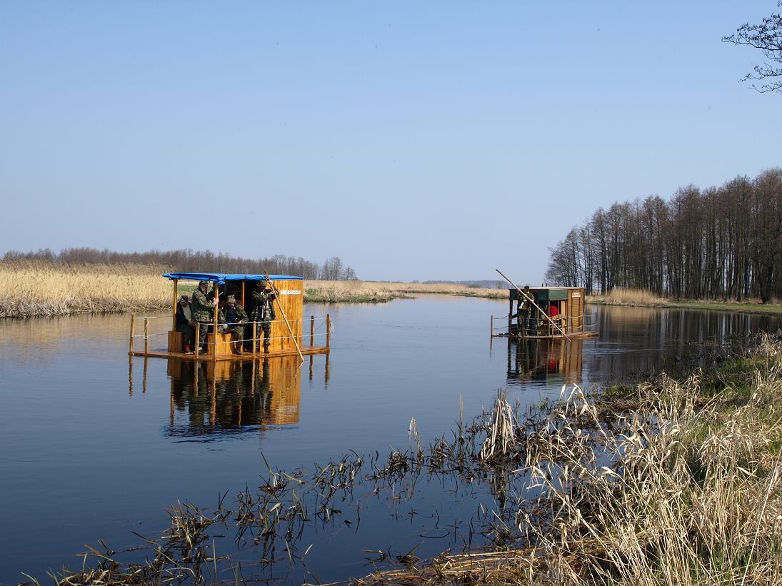 Spływ tratwą po biebrzy, Dolistowo Stare, podlaskie