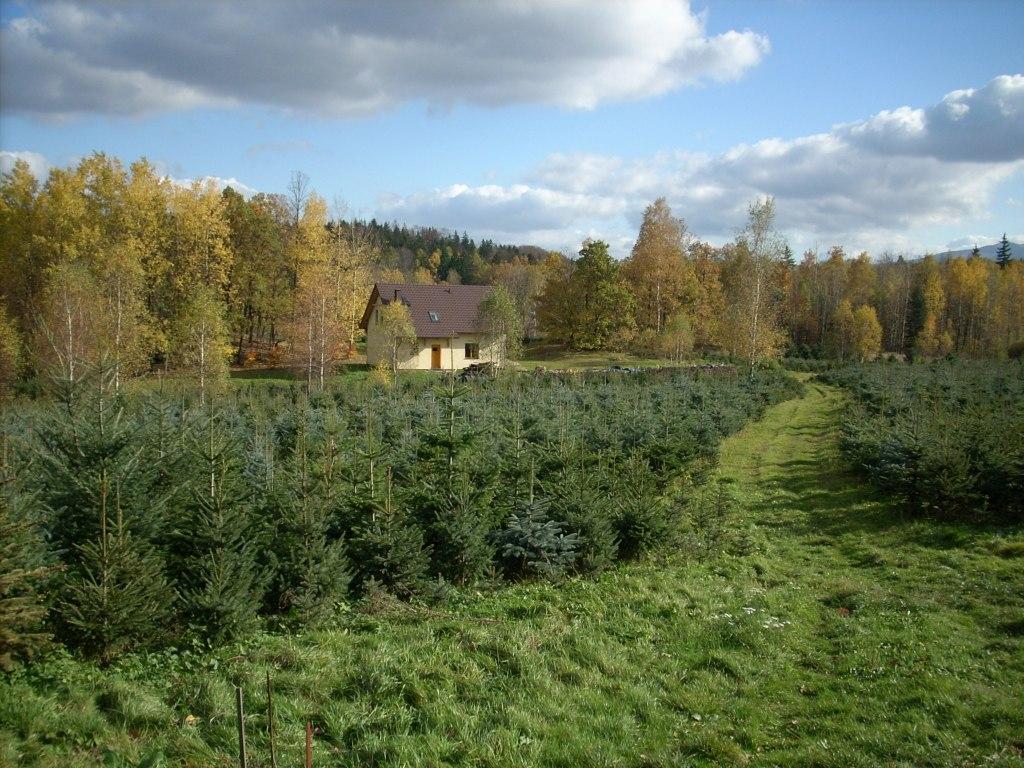 Agroturystyka Srebrny Las, Staniszów, dolnośląskie