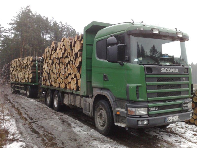 Transport drewna dłużycowego,kłodowego,stosówk, BIAŁA GÓRAGmDOBRYSZYCE, łódzkie
