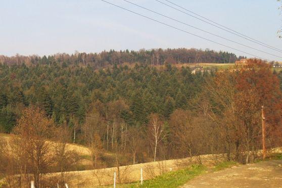 Sprzadam dom wolnostojący Łużna okolice Gorlic