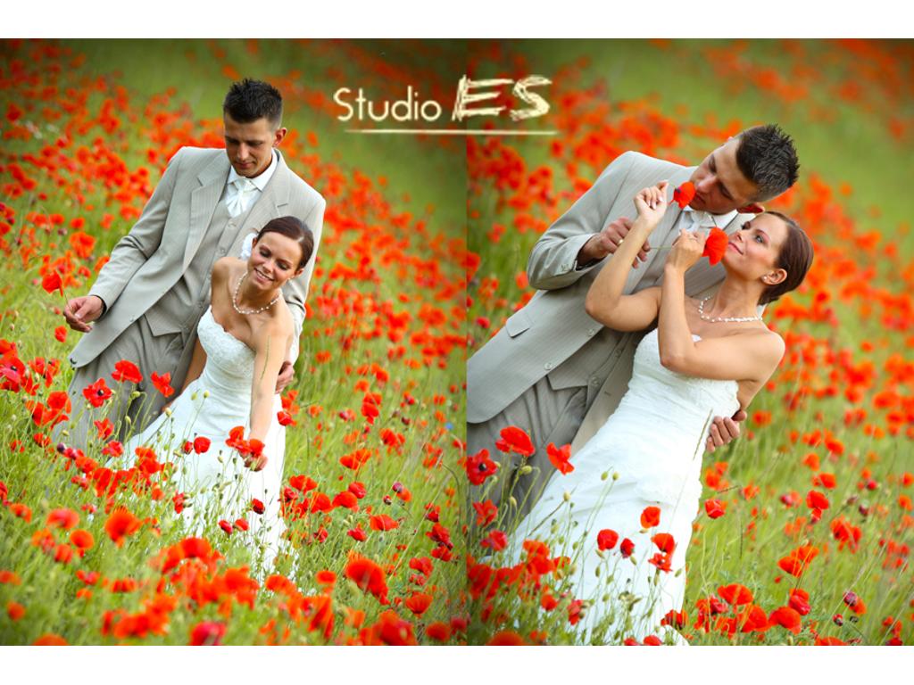 www.studio-es.pl