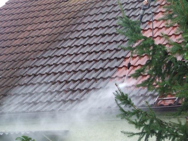Profesjonalne czyszczenie dachów 