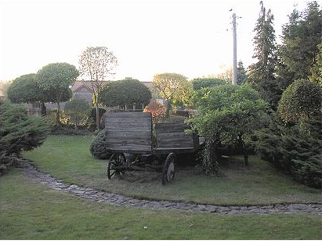 Urządzanie i pielęgnacja ogrodów Częstochowa, Częstochowa, Opole, Katowice, śląskie