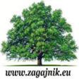 Sprzątanie nagrobków-www.zagajnik.eu-szczecin, zachodniopomorskie