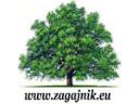 Sprzątanie nagrobków - www. zagajnik. eu - szczecin