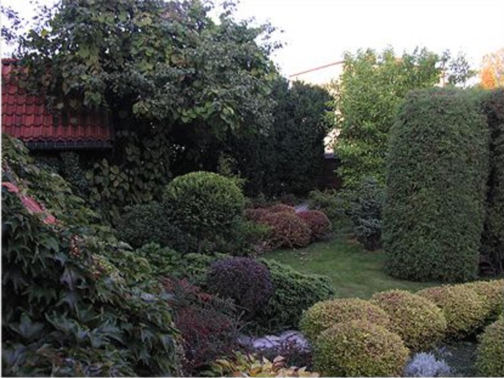 Ogrody, Nawadnianie Częstochowa, Opole, Katowice, śląskie
