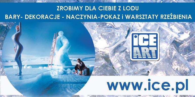 ICE ART RZEŹBY Z LODU, Wrocław, dolnośląskie