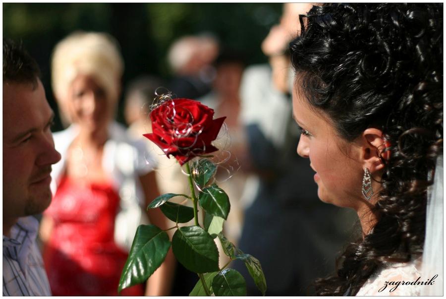 Fotografia artystyczna, Wele, Ślub, Wrocław, dolnośląskie