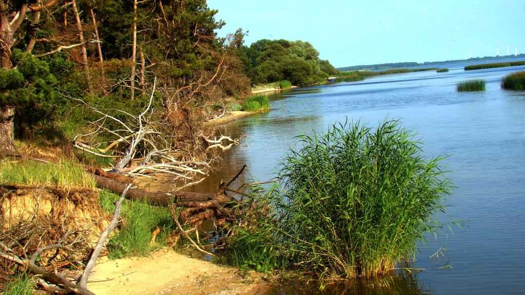   Dom do wynajęcia na wyspie Wolin, Dargobądz, zachodniopomorskie