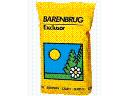 BARENBRUG  -  hurtowa sprzedaż traw
