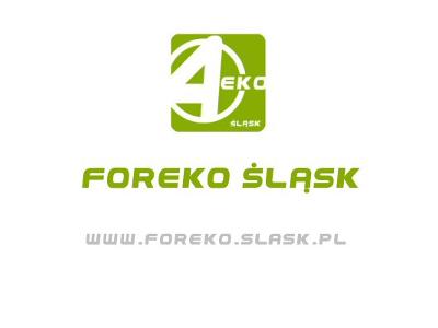 www.foreko.slask.pl - kliknij, aby powiększyć
