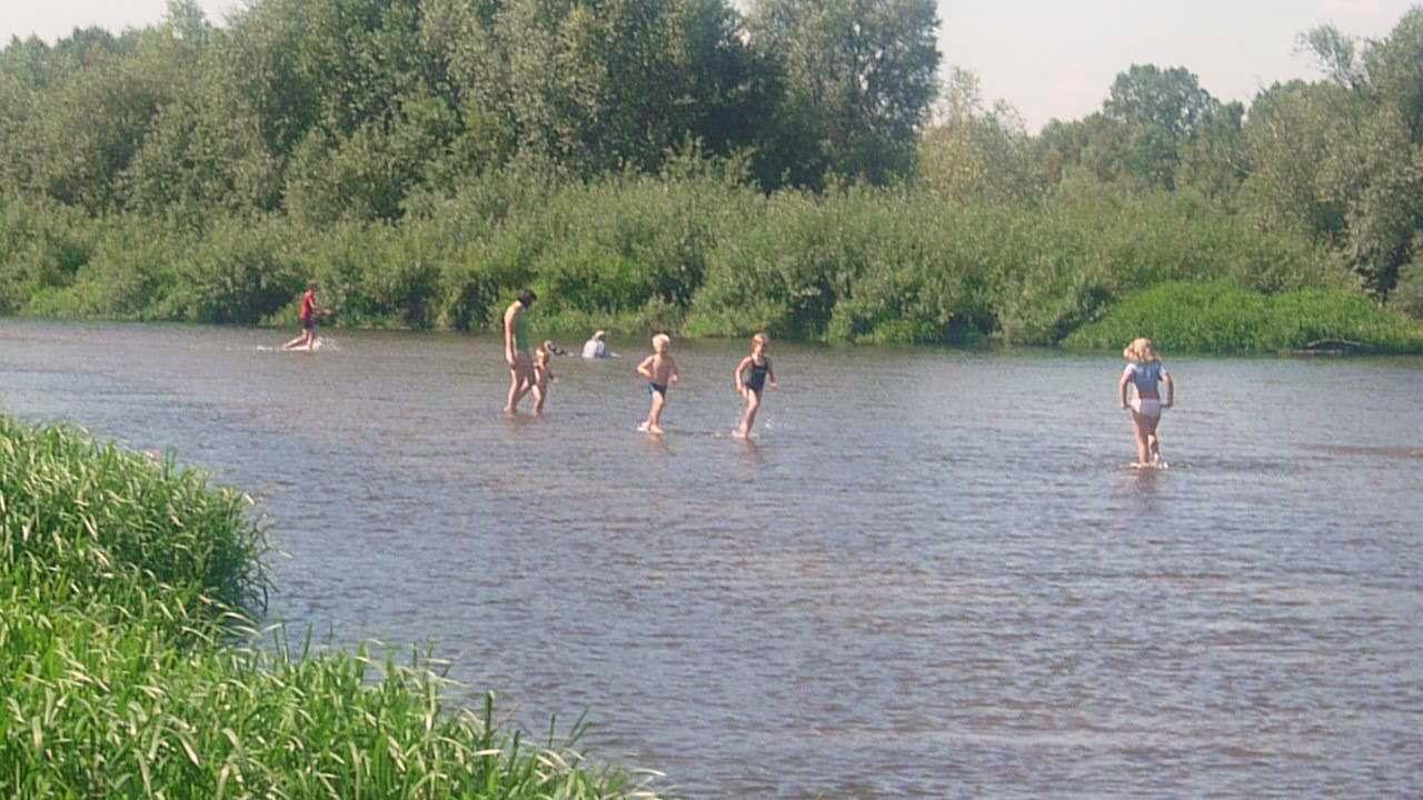 Stajnia dorado-puszcza Kampinoska, Leoncin, mazowieckie