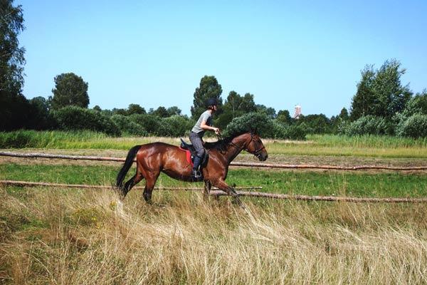 ''KONICZYNKA'' - AGROturystyka, Chodel, lubelskie