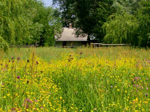 ''KONICZYNKA'' - AGROturystyka, Chodel, lubelskie