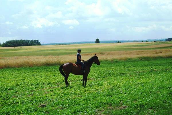 ''KONICZYNKA'' - AGROturystyka, Chodel, lubelskie