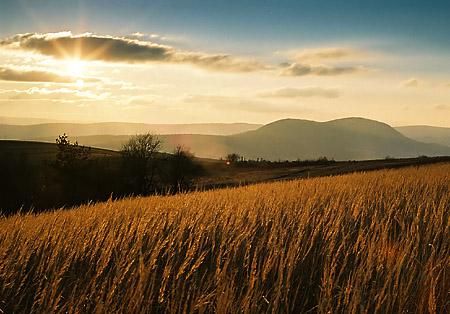 Aktywny wypoczynek w przepięknym Uzdrowisku, Iwonicz Zdrój, podkarpackie