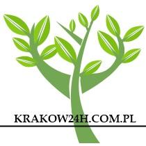 Ubezpieczenie samochodu Kraków i okolice, Kraków, Wieliczka, Myślenice, Krzeszowice, Skawina, małopolskie