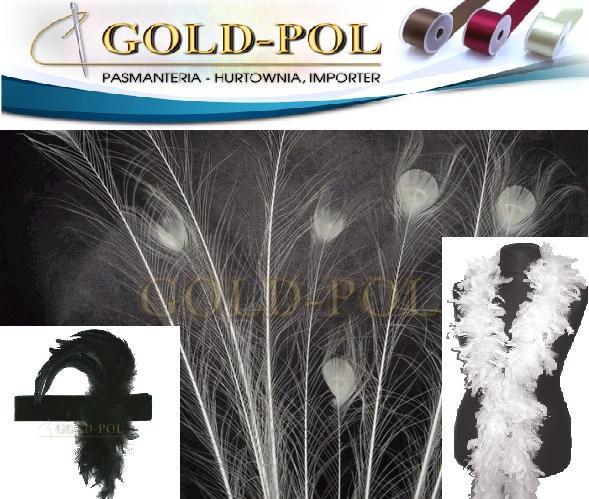 Szale boa, pióra marabut/kogut IMPORTER www.goldpol.eu