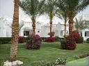 Egipt  -  Hotel Sonesta Club 4* poleca B. P Geotour
