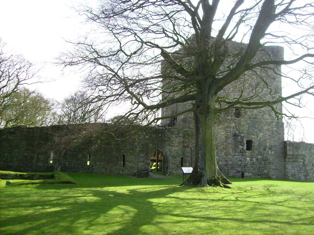 Szkocja - Loch Leven Castle