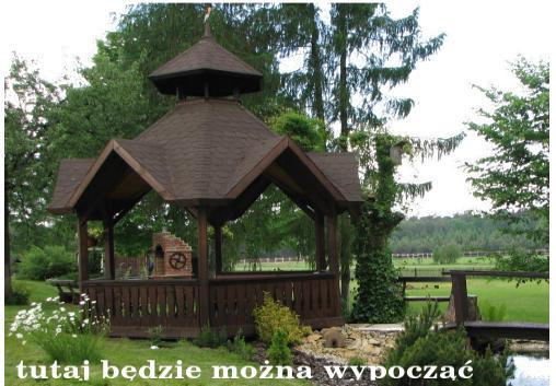 Wakacje z EFT - Trening Rozwoju Osobistego, Bory Stobrawskie, opolskie