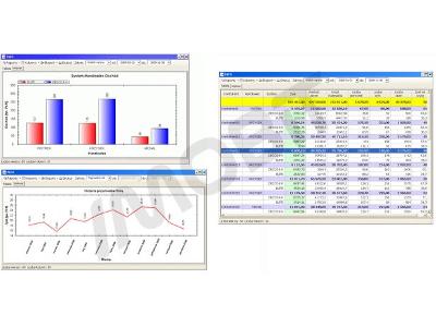 Raportowanie i wizualizacja procesów, statystyk, analiz - kliknij, aby powiększyć