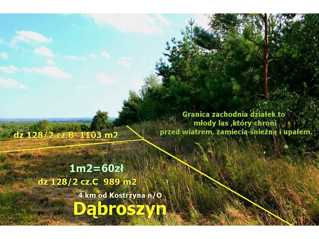 Kostrzyn nad Odrą-działki na sprzedaż lubuskie, lubuskie