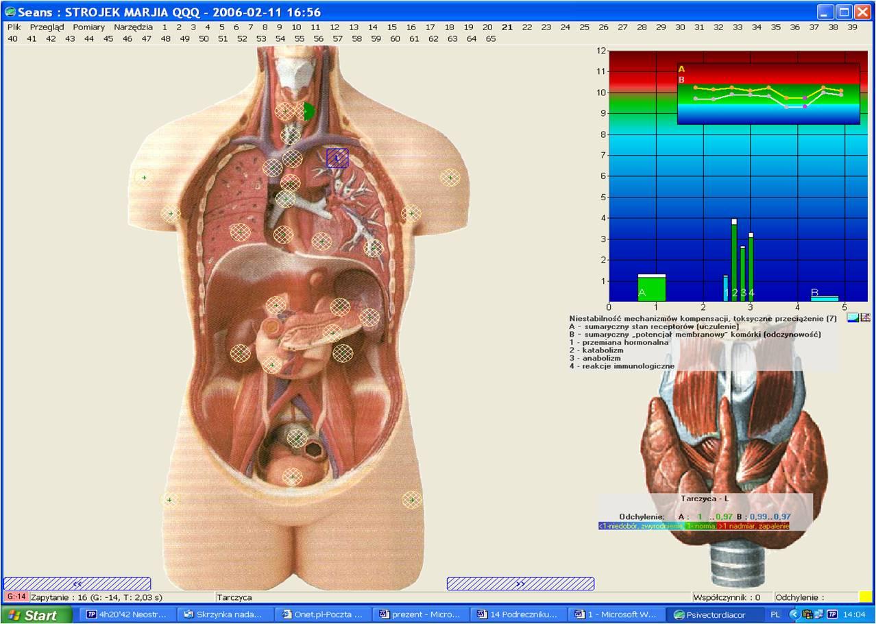 DIAGNOZA I TERAPIA KOMPUTEROWA ORGANIZMU IDC, Lublin, WARSZAWA, lubelskie