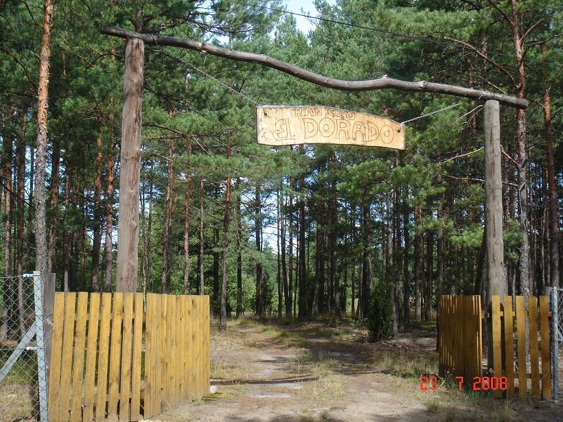 Bory tucholskie Ogrodzona działka z lasem 11 zł , Śliwice, kujawsko-pomorskie