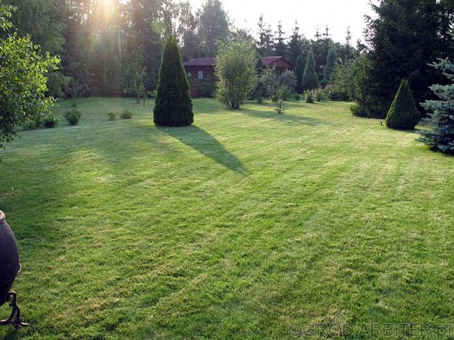 Koszenie trawy, trawników, wykaszanie, podkaszani, Wrocław, dolnośląskie