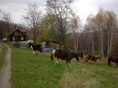 Agroturystyka brenna www.agrobrenna.prv.pl, śląskie