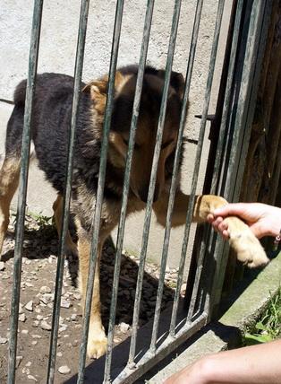 Sofi prosi: pokochaj mnie!, Kraków, małopolskie