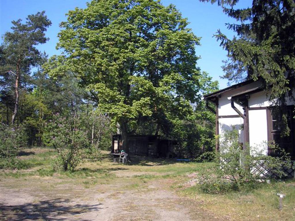 Opiekunowie mieszkają tuż obok, psi goście uczestniczą w codziennych zajęciach domowników.