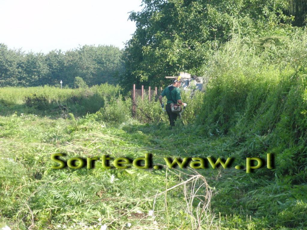 Koszenie nieużytków Strzyżenie trawników WAWA, Warszawa, mazowieckie