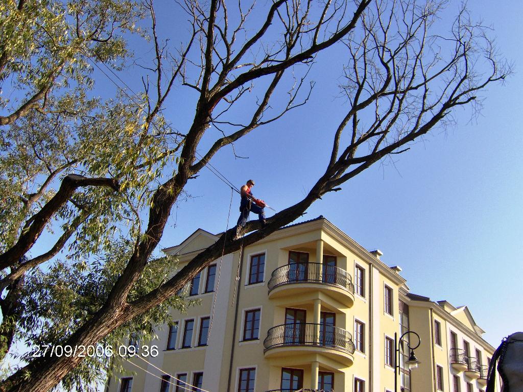 Pielęgnacja i wycinka drzew, Warszawa, mazowieckie