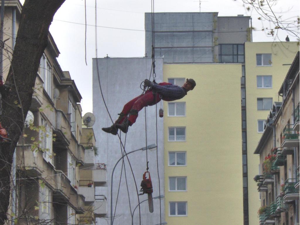 Pielęgnacja i wycinka drzew, Warszawa, mazowieckie