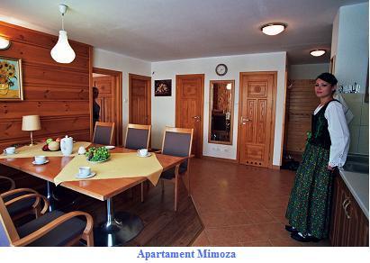  Apartamenty Mimoza w Zakopanem  