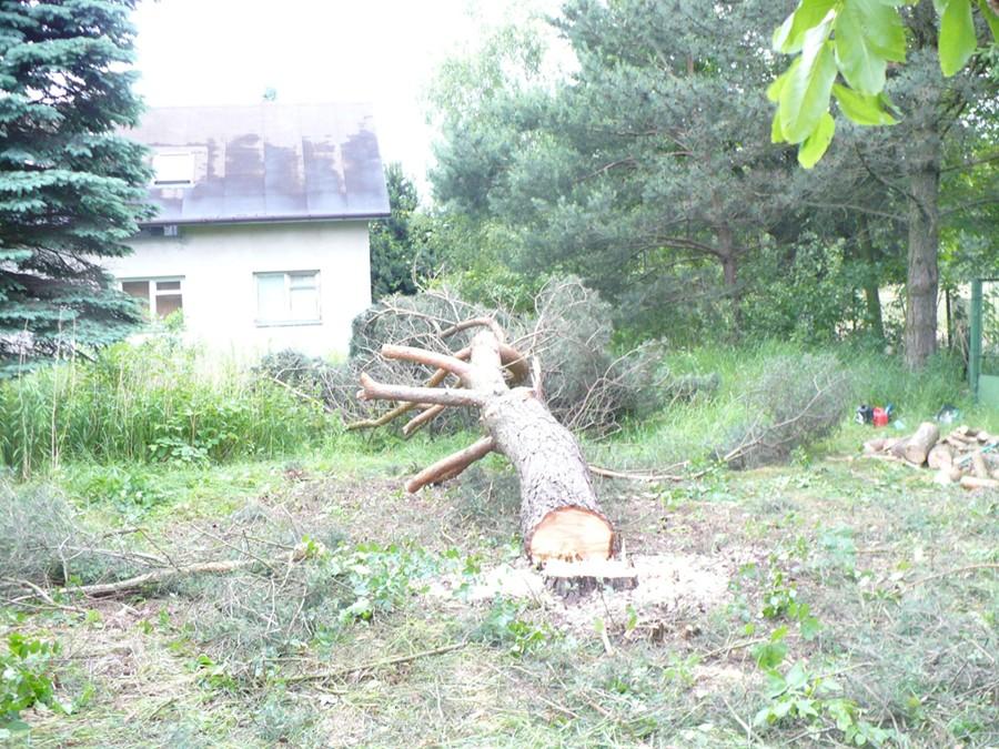 KARCZOWANIE TERENU POD BUDOWĘ, ŚCINKA DRZEW , Łódź i okolice, łódzkie