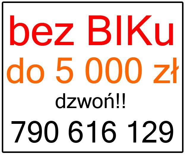 KREDYT BEZ BIK , Bydgoszcz, kujawsko-pomorskie