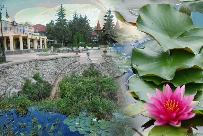 Gorący wypoczynek przy źródłach EGER Wegry