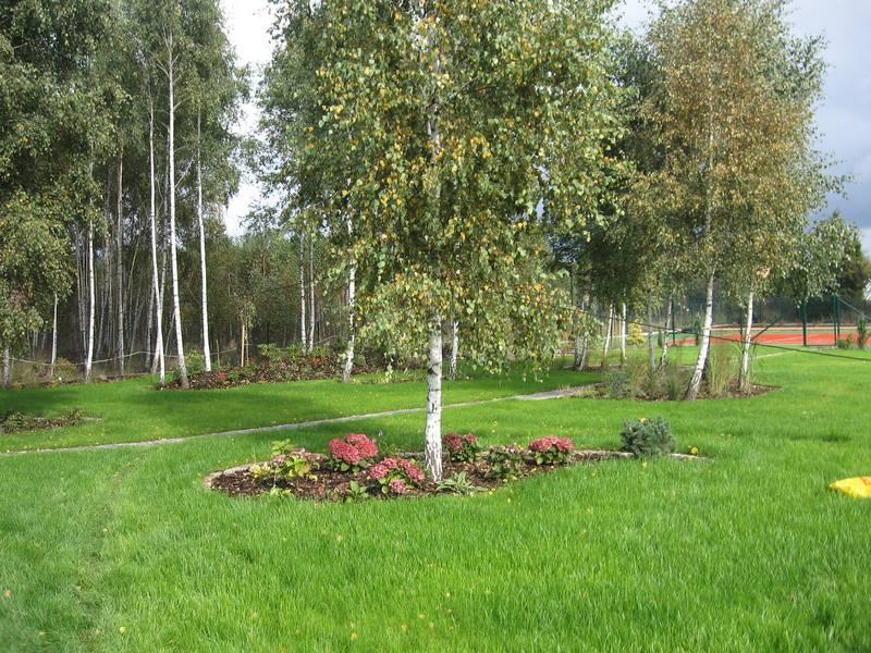 Budowa serwis Ogrodowy na terenie Czestochowy, Poraj, śląskie