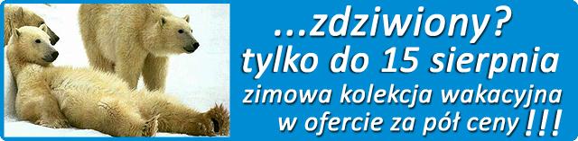 Zimowa oferta wakacyjna w ofercie za pół ceny !!, Chorzów, śląskie