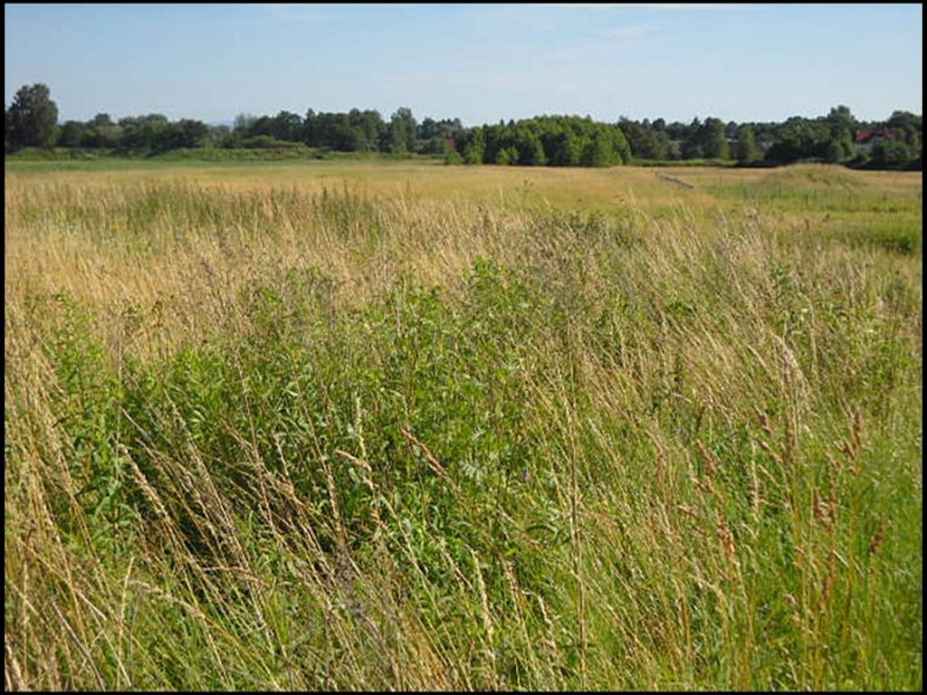 DZIAŁKA KOMERCYJNO-USŁUGOWA 130ARÓW W MORAWICY, Morawica, małopolskie