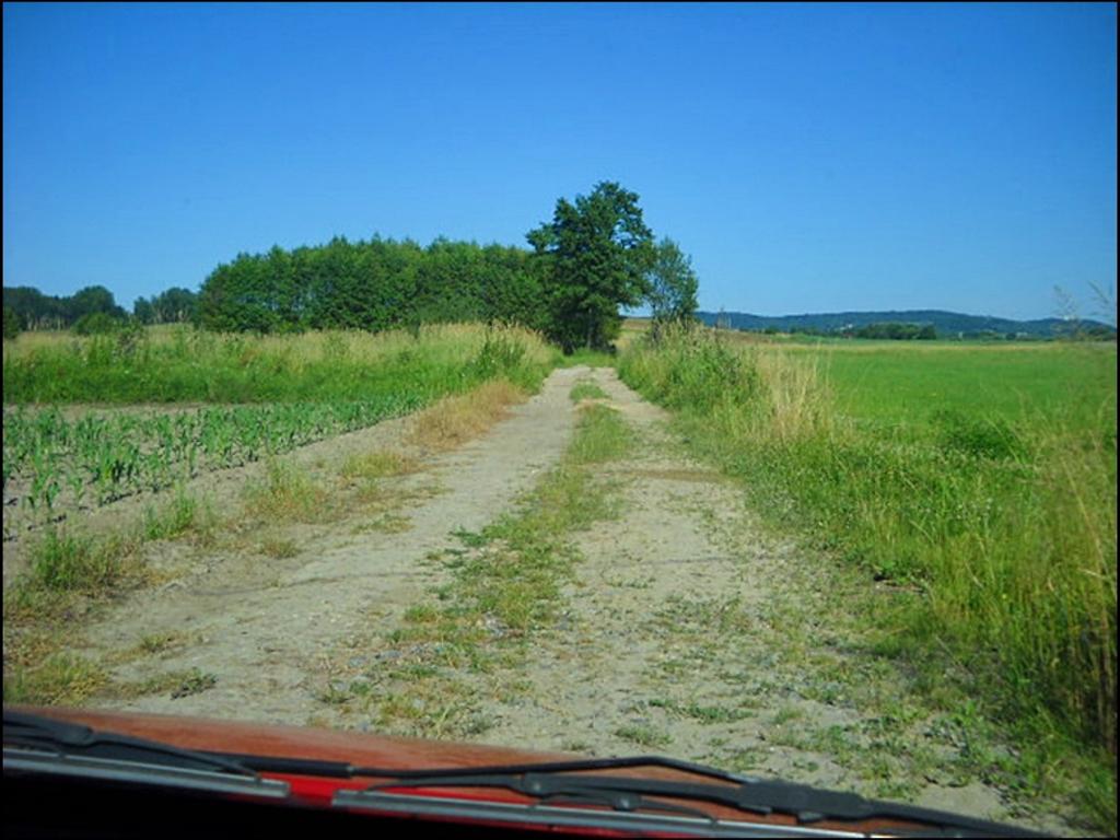 DZIAŁKA KOMERCYJNO-USŁUGOWA 130ARÓW W MORAWICY, Morawica, małopolskie